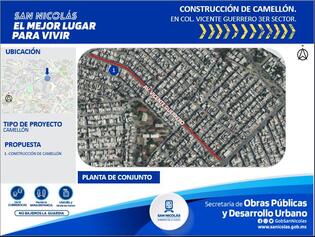 Camellón en avenida principal, Vicente Guerrero