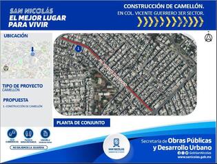 Camellón en avenida principal, Vicente Guerrero
