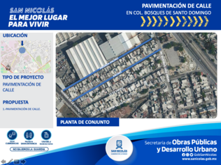 Pavimentación de las calles de la colonia, Bosques de Santo Domingo