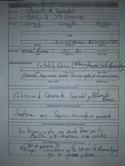 Proyecto de seguridad, Pedregal de Santo Domingo
