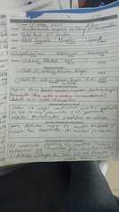 WhatsApp Image 2023-08-14 at 12.33.11.jpeg