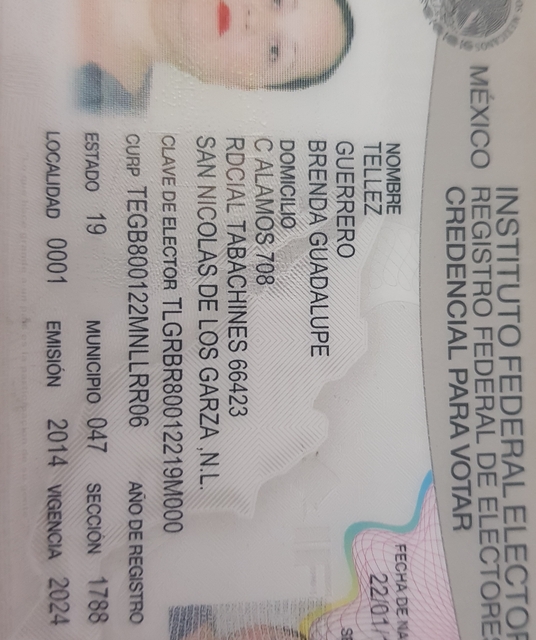 avatar Brenda Guadalupe Tellez Guerrero