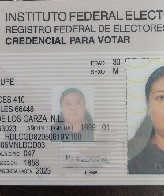 avatar María Guadalupe Rodríguez Lucio 
